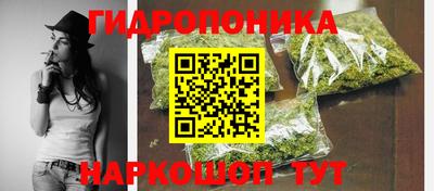 ПСИЛОЦИБИНОВЫЕ ГРИБЫ Заводоуковск