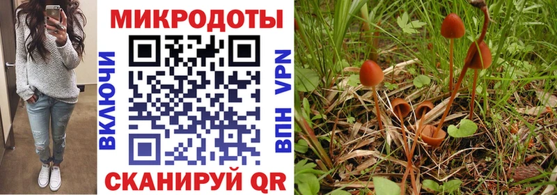 Псилоцибиновые грибы ЛСД  MEGA ссылка  Лесосибирск 